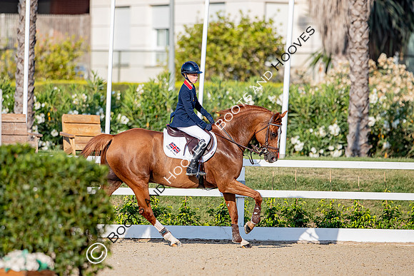 FEI Junior European Championship Young Riders, Juniors & Childre