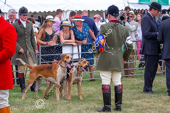 Festival of Hunting