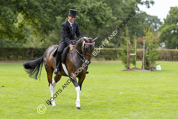 The Royal International Horse Show