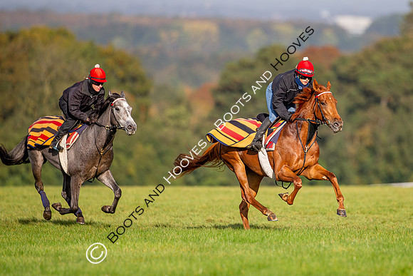 Newmarket