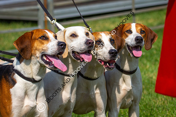 Festival of Hunting