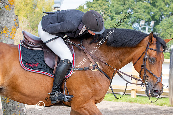Science Supplements All England Jumping Championships