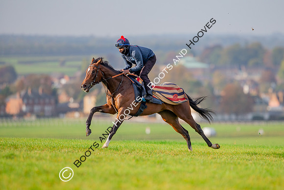 Newmarket