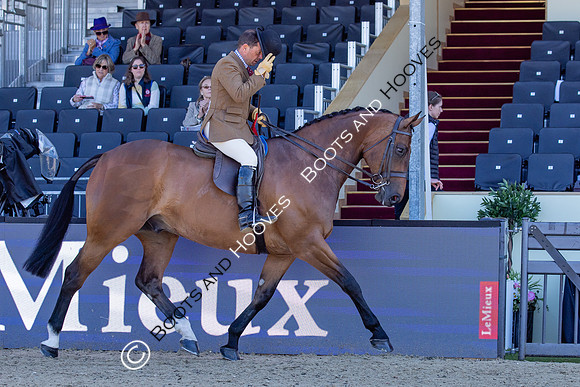 Royal Windsor Horse Show