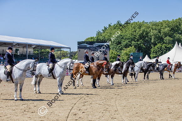 Royal Windsor Horse Show