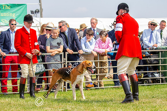 Festival of Hunting