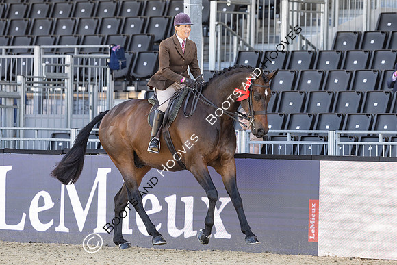 Royal Windsor Horse Show