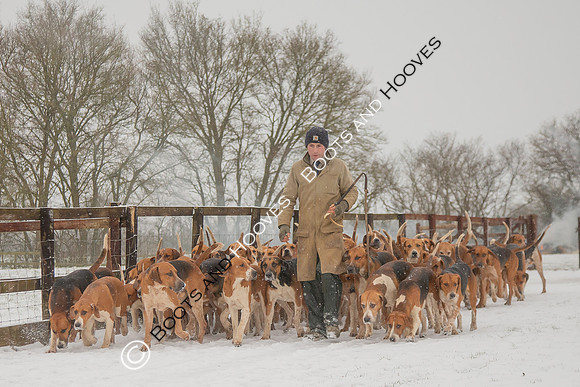 Hound Exercise
