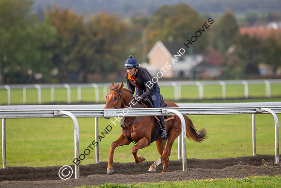 Newmarket
