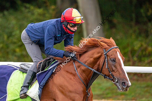 Newmarket