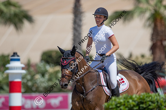 FEI Junior European Championship Young Riders, Juniors & Childre
