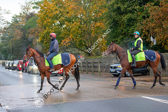 Newmarket