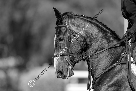 The Prenetics Royal International Horse Show