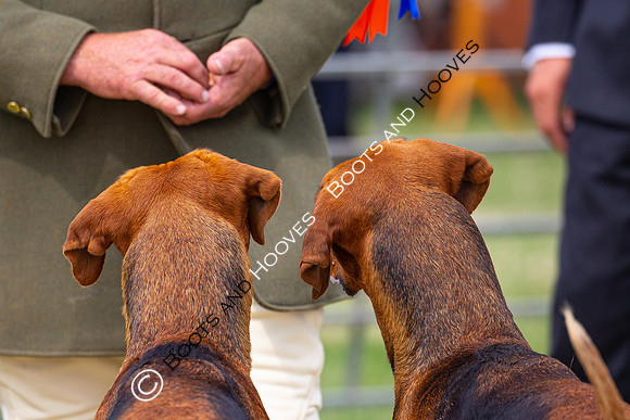 Festival of Hunting