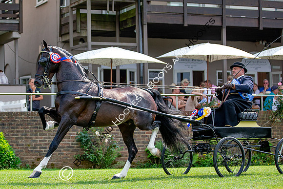 The Prenetics Royal International Horse Show