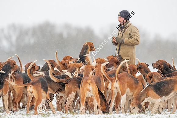 Hound Exercise