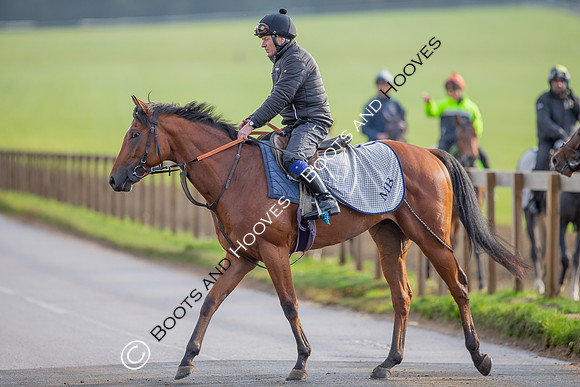 Newmarket
