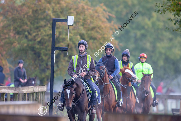 Newmarket