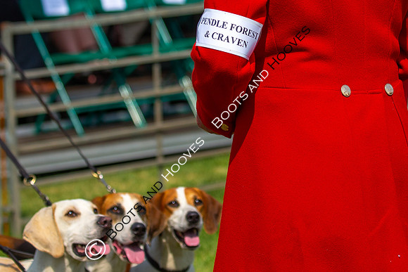 Festival of Hunting