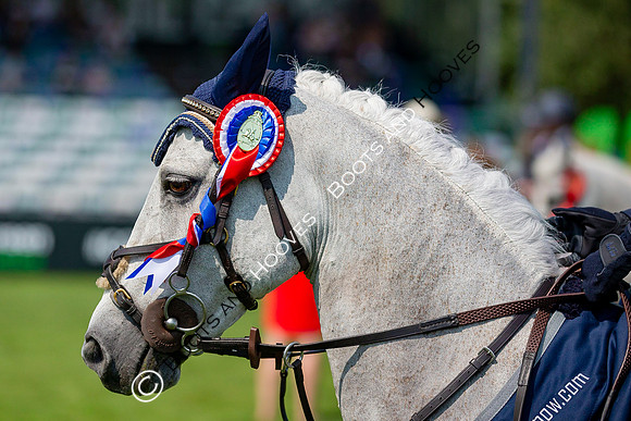 The Prenetics Royal International Horse Show