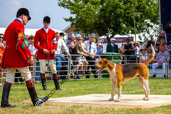 Festival of Hunting