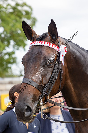 The Royal International Horse Show