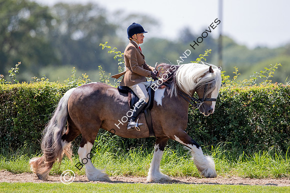 The Prenetics Royal International Horse Show