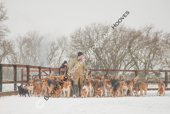 Hound Exercise