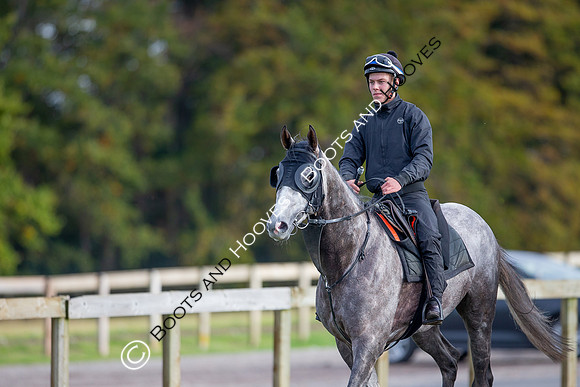 Newmarket