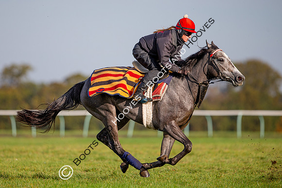Newmarket