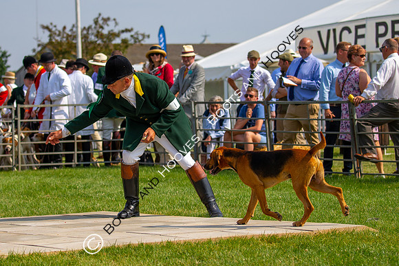 Festival of Hunting