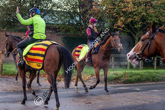 Newmarket