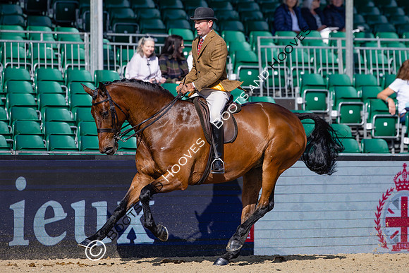 Royal Windsor Horse Show