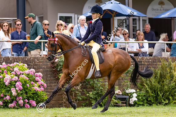 The Agria Royal International Horse Show