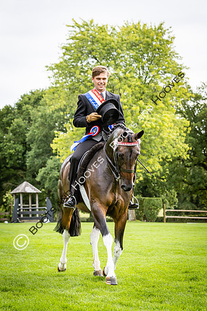 The Royal International Horse Show