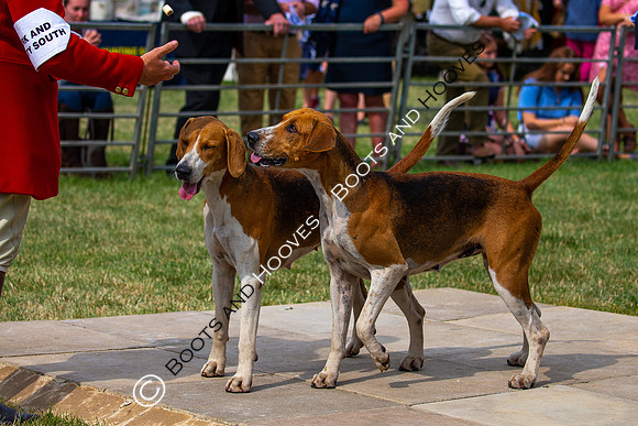 Festival of Hunting