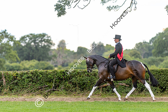 The Royal International Horse Show