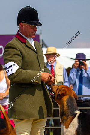 Festival of Hunting