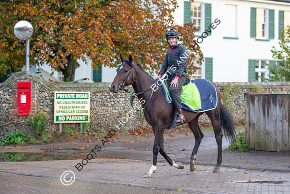 Newmarket