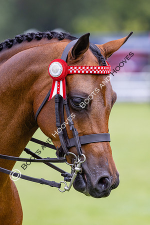 The Agria Royal International Horse Show