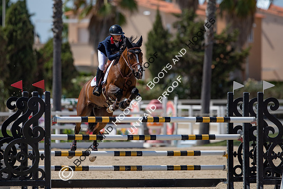 FEI Junior European Championship Young Riders, Juniors & Childre