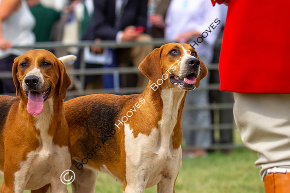 Festival of Hunting