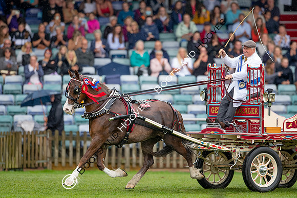 The Prenetics Royal International Horse Show