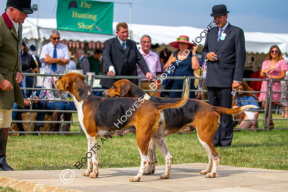 Festival of Hunting