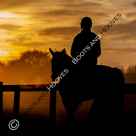 Newmarket