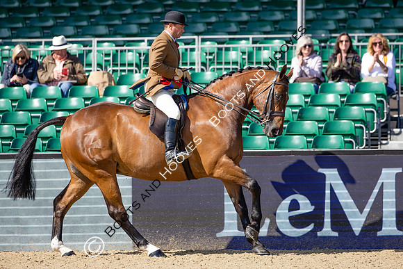 Royal Windsor Horse Show