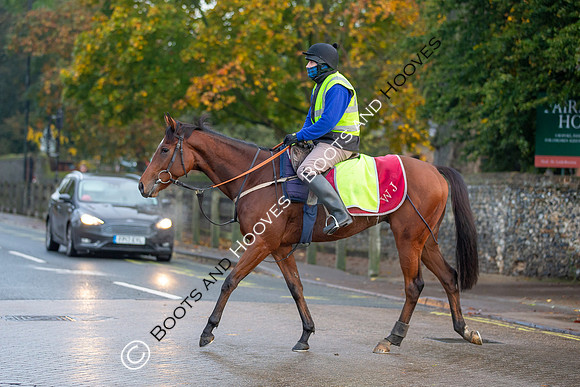Newmarket