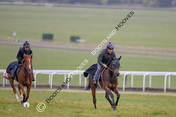 Newmarket Gallops