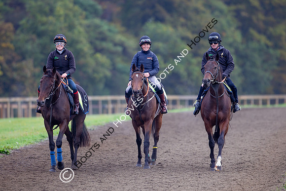 Newmarket