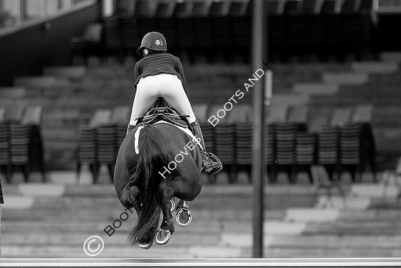 Science Supplements All England Jumping Championships